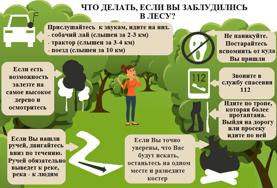 Что делать, если Вы заблудились в лесу!.