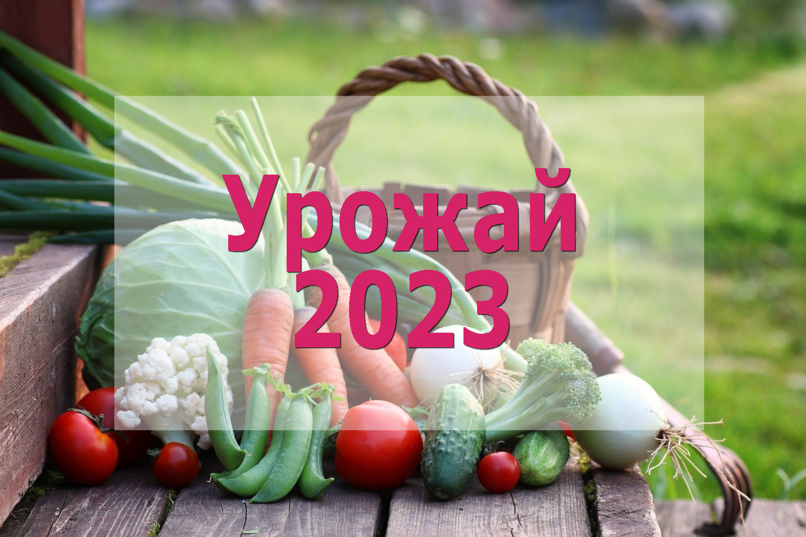 Сельскохозяйственная ярмарка &quot;Урожай 2023&quot;.