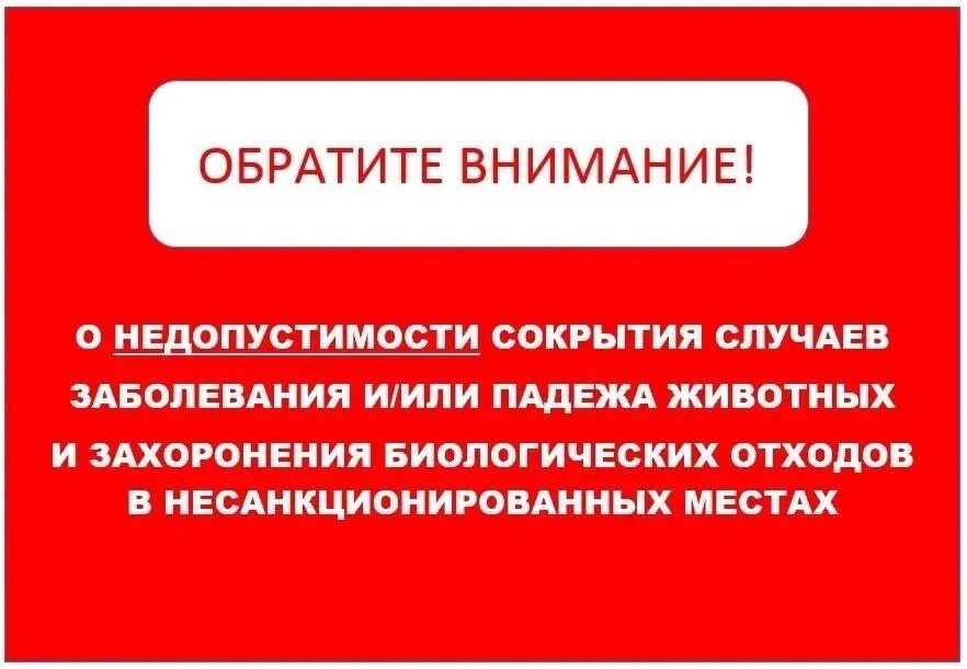 О недопустимости сокрытия случаев заболевания и/или падежа животных и захоронения биологических отходов в несанкционированных местах.