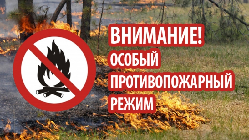 В Сысольском  районе введен особый противопожарный режим.