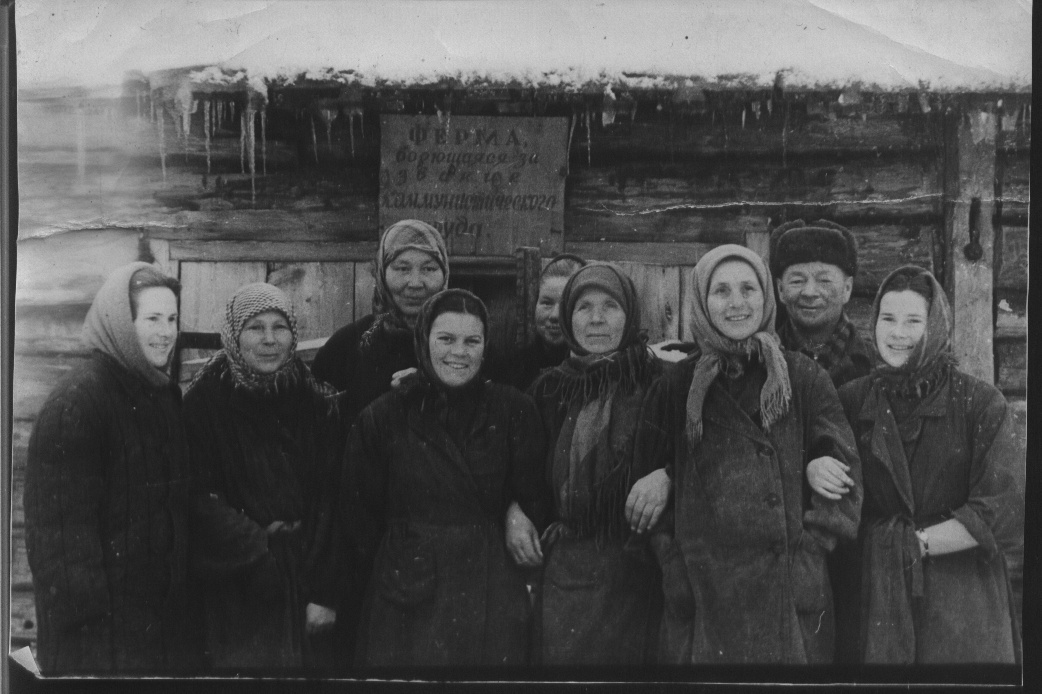 Фотографии.