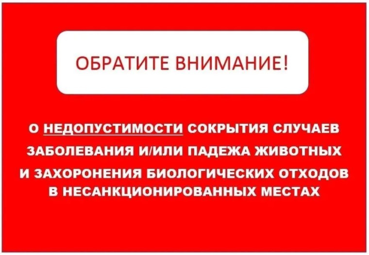 О недопустимости сокрытия случаев заболевания и/или падежа животных и захоронения биологических отходов в несанкционированных местах. О недопустимости сокрытия случаев заболевания и/или падежа животных и захоронения биологических отходов в несанкционированных местах.